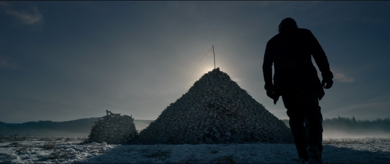 Still from The Revenant (2015), directed by Alejandro G. Iñárritu (frame 1)
