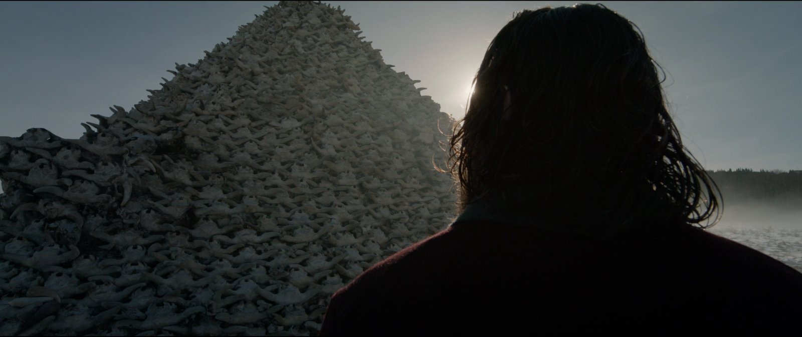 Still from The Revenant (2015), directed by Alejandro G. Iñárritu (frame 2)