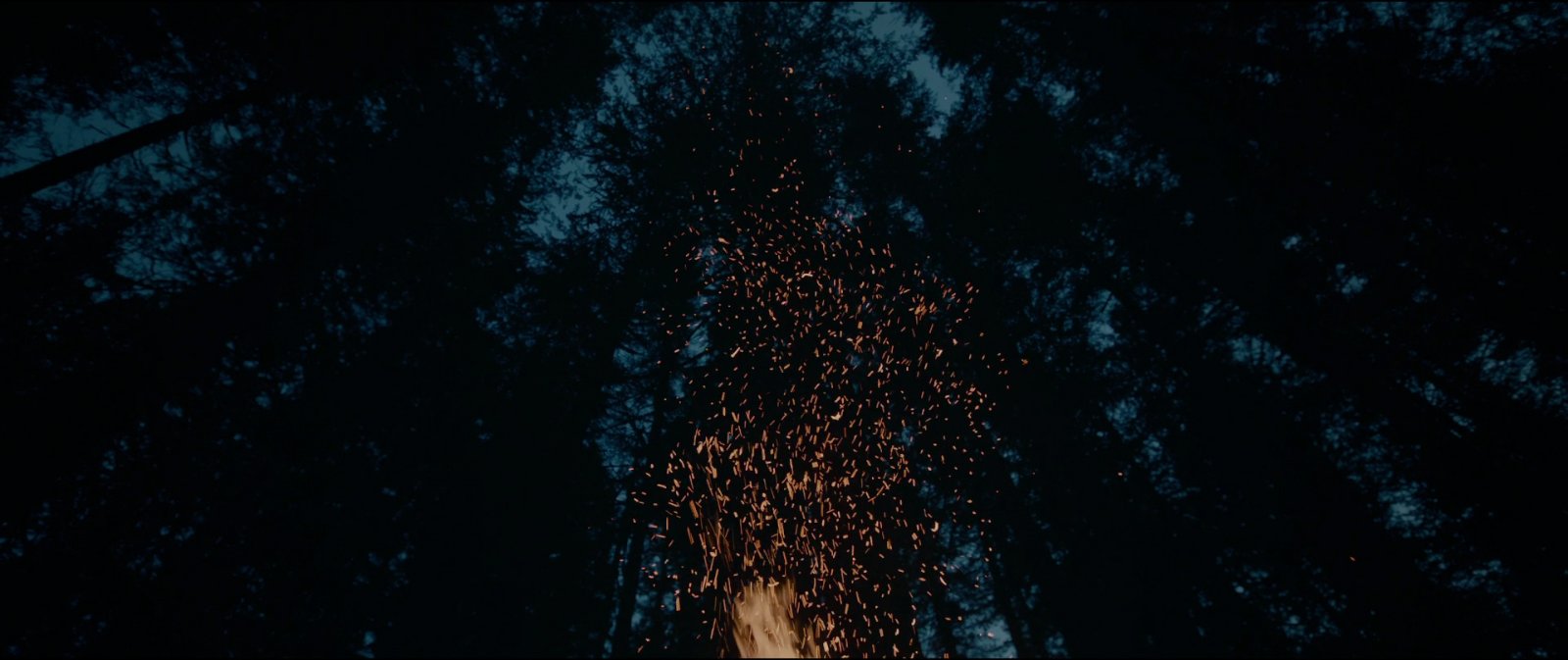 Still from The Revenant (2015), directed by Alejandro G. Iñárritu (frame 9)