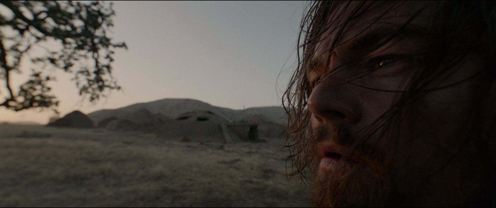 Still from The Revenant (2015), directed by Alejandro G. Iñárritu (frame 12)