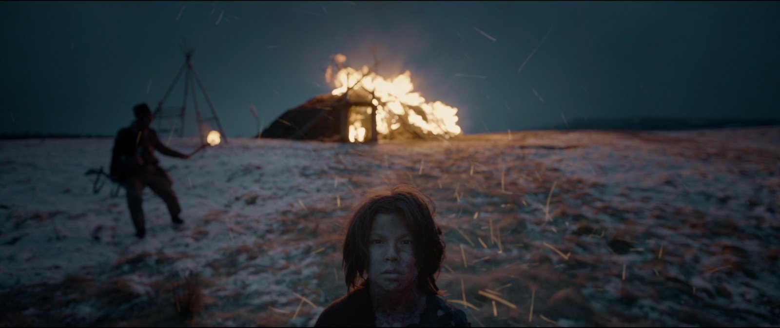 Still from The Revenant (2015), directed by Alejandro G. Iñárritu (frame 14)