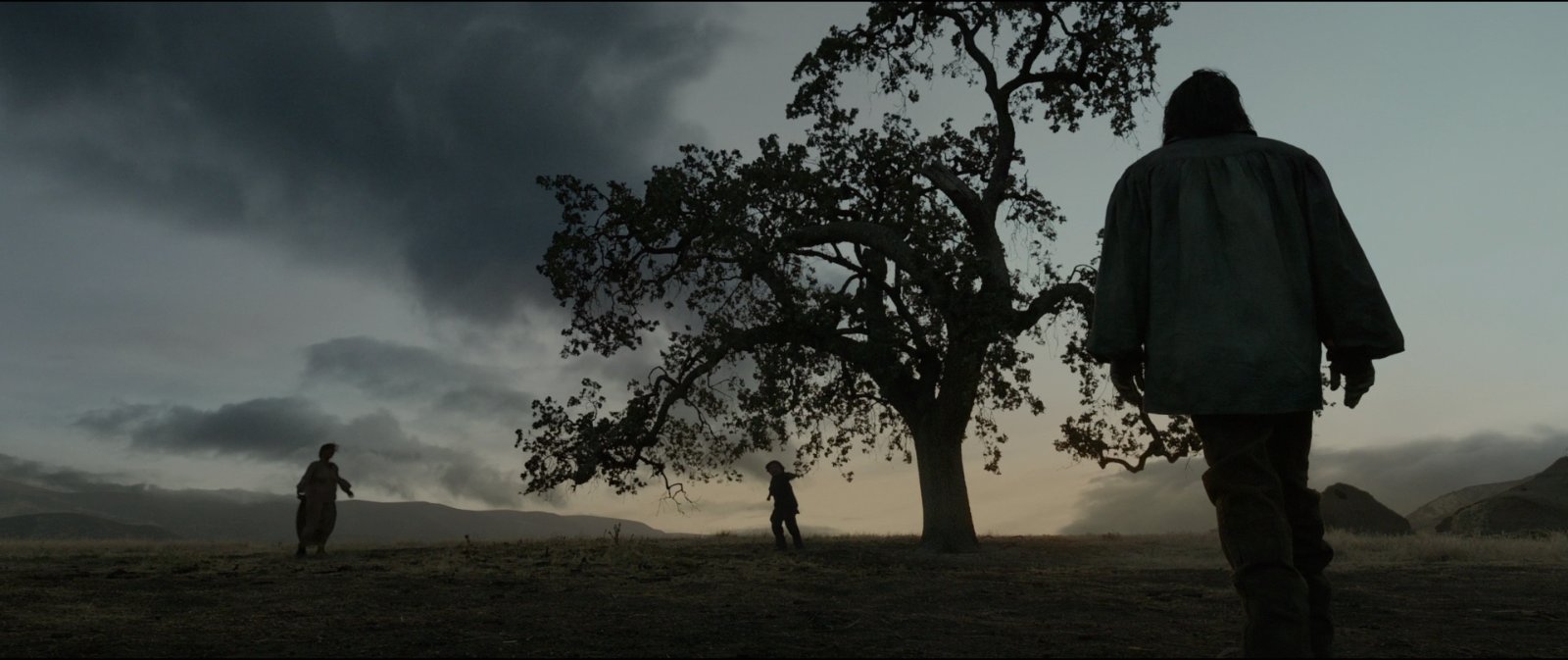 Still from The Revenant (2015), directed by Alejandro G. Iñárritu (frame 11)