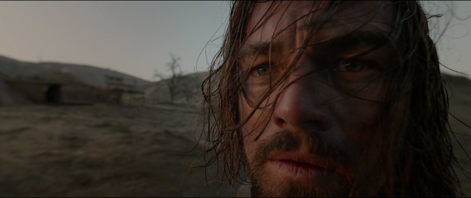 Still from The Revenant (2015), directed by Alejandro G. Iñárritu (frame 17)