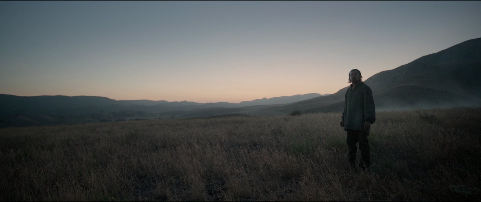 Still from The Revenant (2015), directed by Alejandro G. Iñárritu (frame 16)
