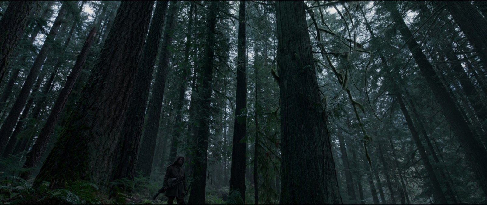 Still from The Revenant (2015), directed by Alejandro G. Iñárritu (frame 20)