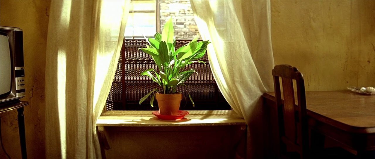 Still from Léon: The Professional (1994), directed by Luc Besson (frame 6)