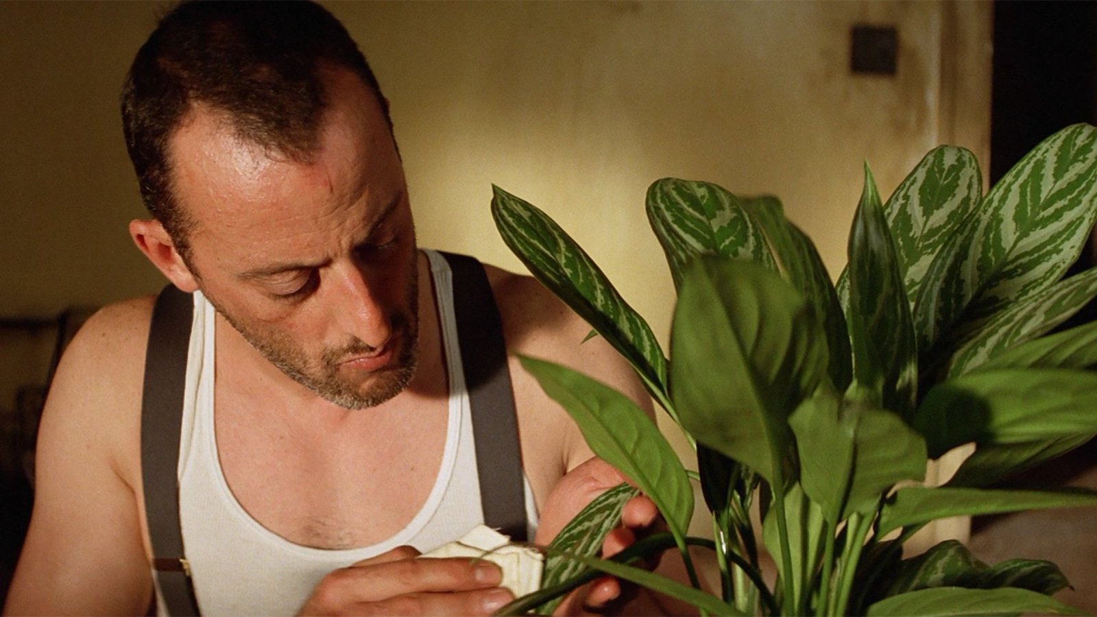 Still from Léon: The Professional (1994), directed by Luc Besson (frame 11)