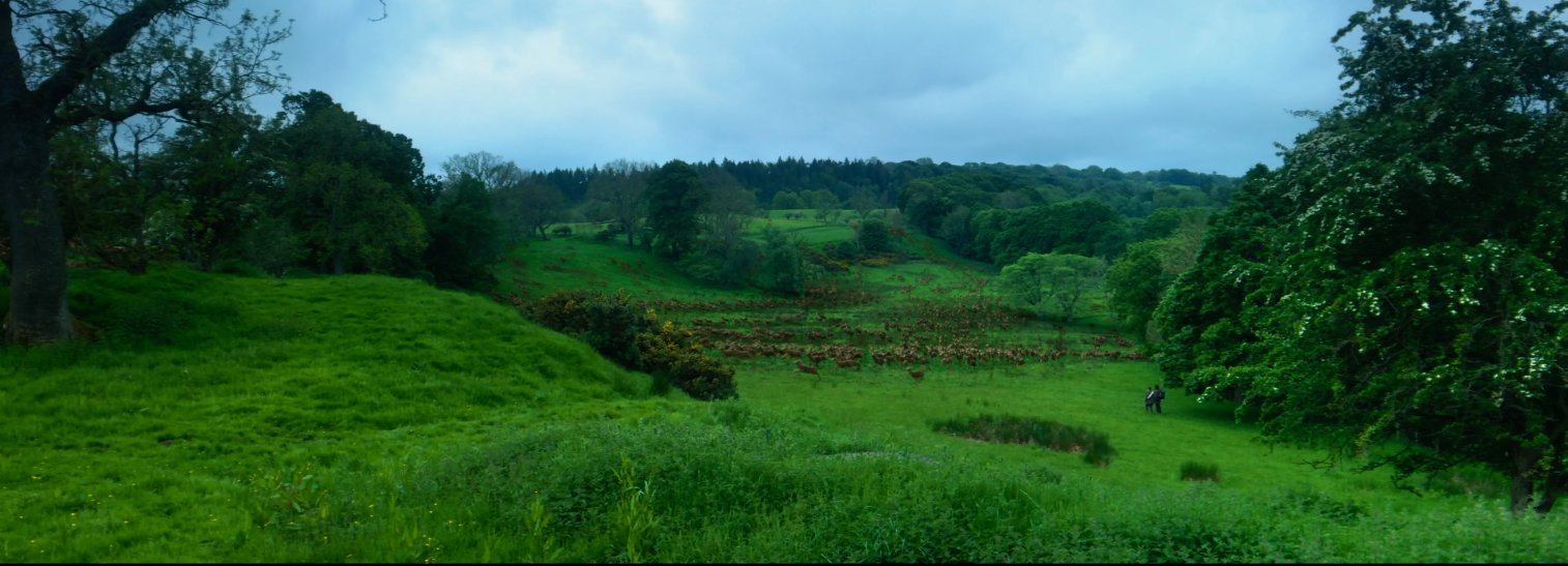 Still from 28 Years Later (2025), directed by Danny Boyle (frame 12)