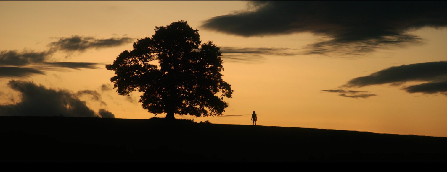 Still from 28 Years Later (2025), directed by Danny Boyle (frame 19)